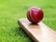 Cricket bat and ball