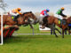 Horses racing
