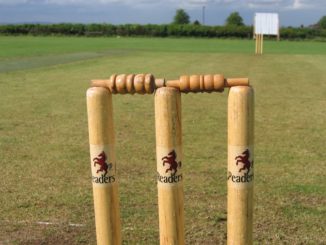 Stumps