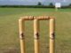 Stumps